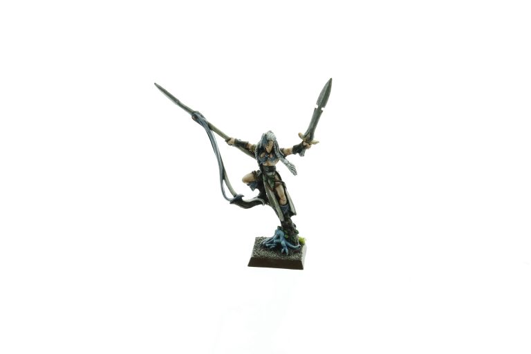 Warhammer Fantasy Wood Elf Shadowdancer Whtreasury