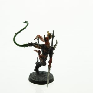 Dark Eldar Drukhari Succubus