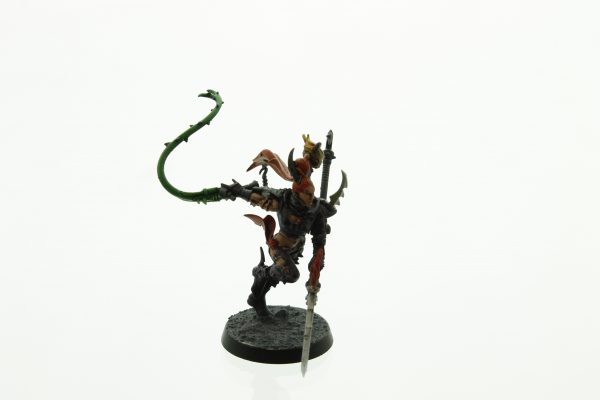 Dark Eldar Drukhari Succubus