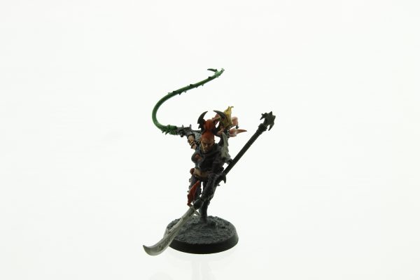 Dark Eldar Succubus