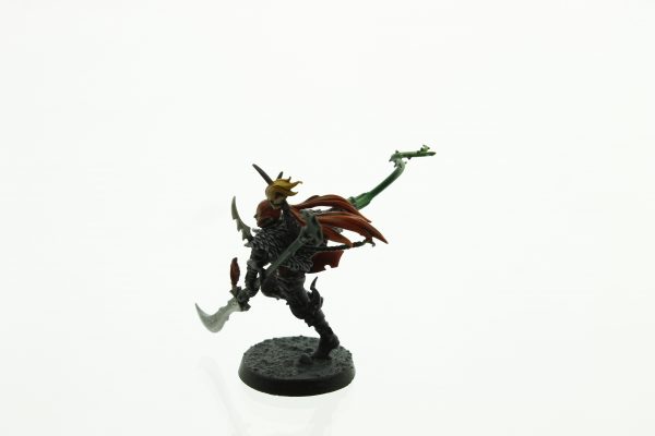 Dark Eldar Succubus