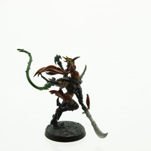 Dark Eldar Succubus