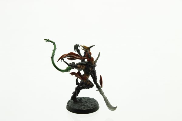 Dark Eldar Succubus