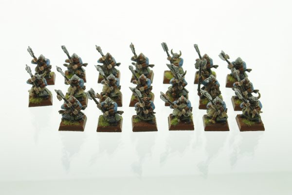 Dwarf Warriors Dwarves