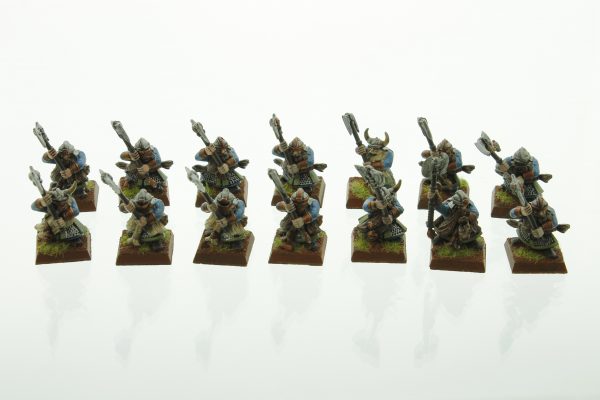 Warhammer Fantasy Dwarf Warriors