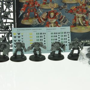 Warhammer 40K Blood Angels Terminators