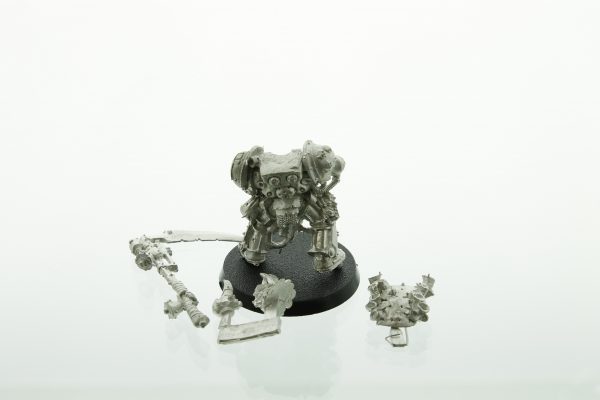 Chaos Space Marines Deathguard Typhus