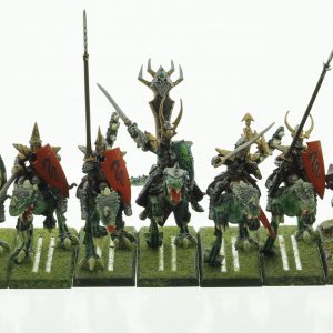 Warhammer Dark Elf Cold One Knights