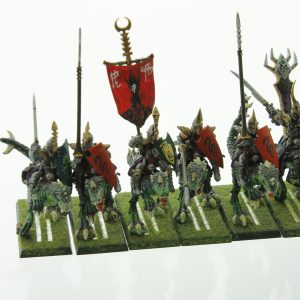 Warhammer Dark Elf Cold One Knights