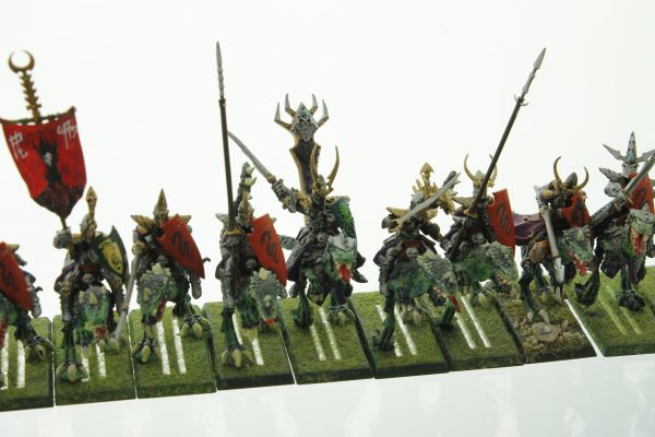 Warhammer Dark Elf Cold One Knights