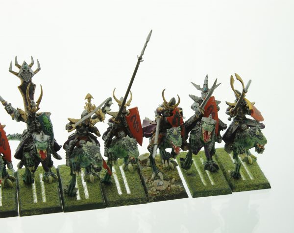 Warhammer Dark Elf Cold One Knights