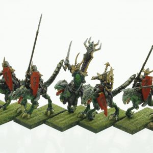 Warhammer Dark Elf Cold One Knights