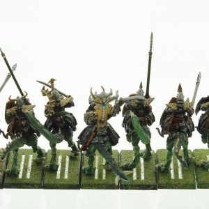 Warhammer Dark Elf Cold One Knights