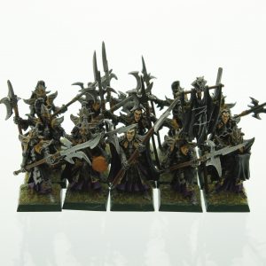 Warhammer Dark Elf Black Guard Dark Elves