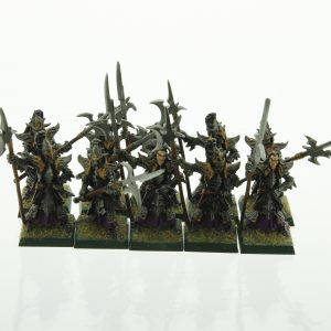 Warhammer Dark Elf Black Guard Dark Elves