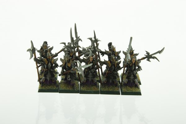 Warhammer Dark Elf Black Guard Dark Elves