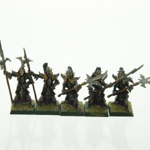 Warhammer Dark Elf Black Guard Dark Elves