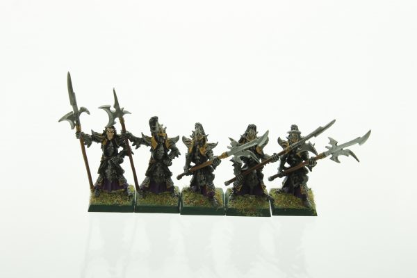 Warhammer Dark Elf Black Guard Dark Elves