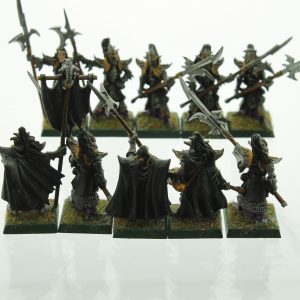 Warhammer Dark Elf Black Guard Dark Elves