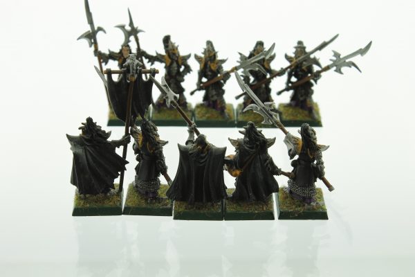 Warhammer Dark Elf Black Guard Dark Elves