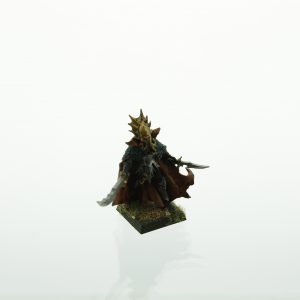 Warhammer Dark Elves Lokhir Fellheart