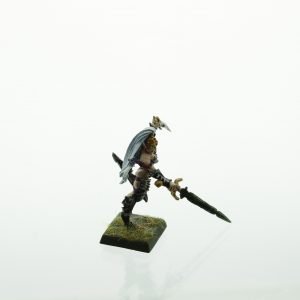 Warhammer Dark Elves Witch Queen