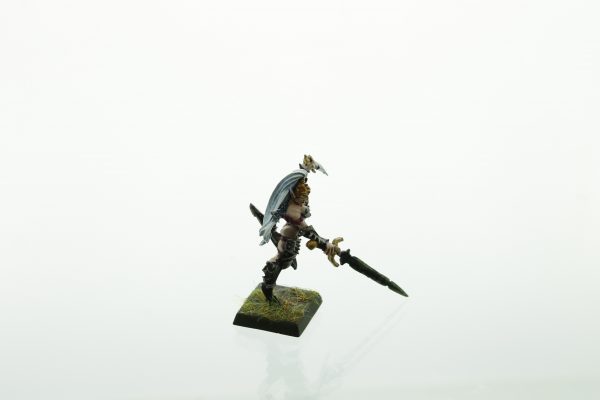 Warhammer Dark Elves Witch Queen