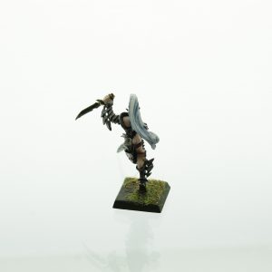 Warhammer Dark Elves Witch Queen