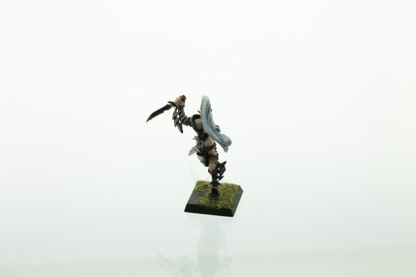 Warhammer Dark Elves Witch Queen