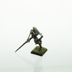 Warhammer Dark Elves Witch Queen