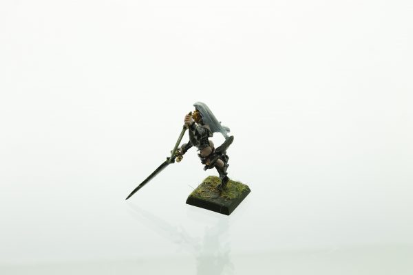 Warhammer Dark Elves Witch Queen