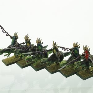 Warhammer Dark Elves Cold One Knights