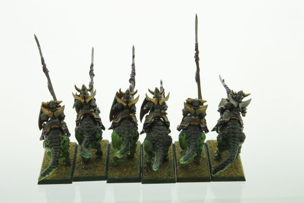 Warhammer Dark Elves Cold One Knights