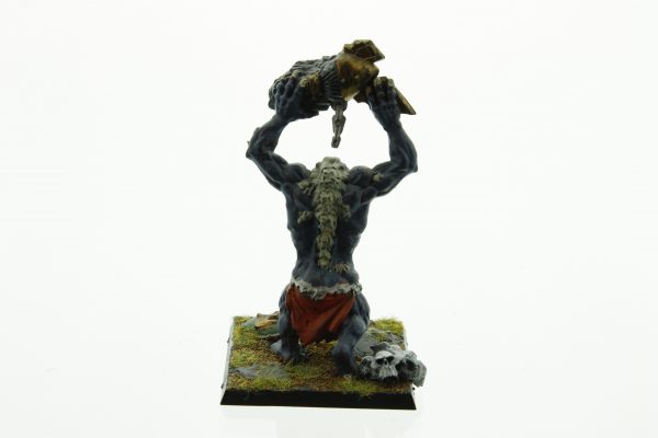 Warhammer Fantasy Orcs & Goblins Troll - Image 2