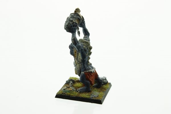 Warhammer Fantasy Orcs & Goblins Troll - Image 4