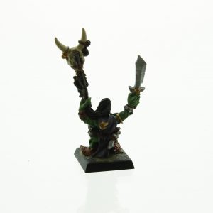 Warhammer Fantasy Orcs & Goblins Shaman