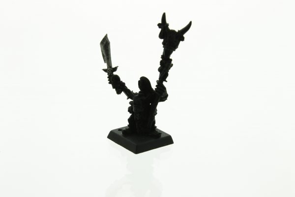 Warhammer Fantasy Orcs & Goblins Shaman