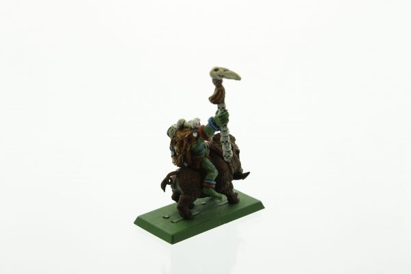 Warhammer Fantasy Orcs & Goblins Savage Orc Shaman