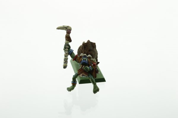 Warhammer Fantasy Orcs & Goblins Savage Orc Shaman