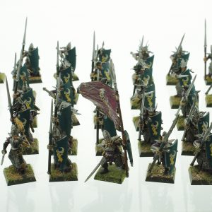 Warhammer Dark Elves Warriros Spearmen