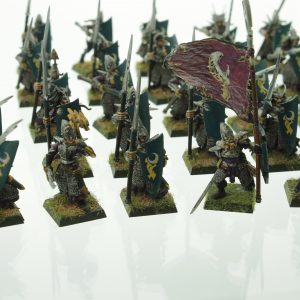 Warhammer Dark Elves Warriros Spearmen