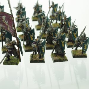 Warhammer Dark Elves Warriros Spearmen