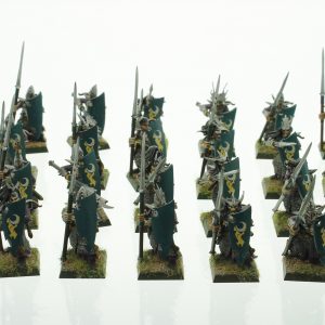 Warhammer Dark Elves Warriros Spearmen