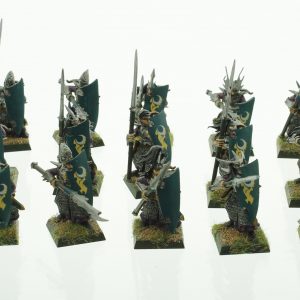 Warhammer Dark Elves Warriros Spearmen