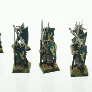 Warhammer Dark Elves Warriros Spearmen