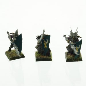 Warhammer Dark Elves Warriros Spearmen