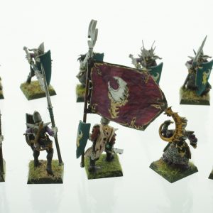 Warhammer Dark Elves Warriros Spearmen