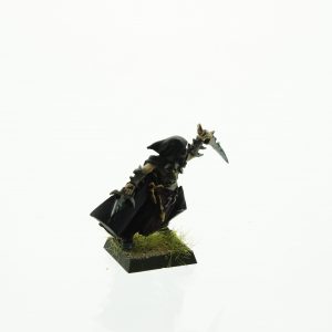Warhammer Dark Elves Assassin