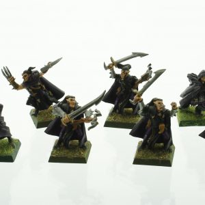 Warhammer Dark Elves Shades Assassins