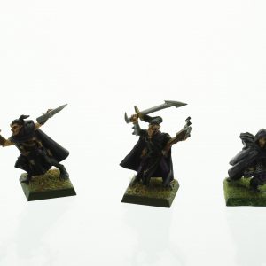 Warhammer Dark Elves Shades Assassins